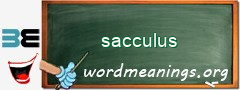 WordMeaning blackboard for sacculus